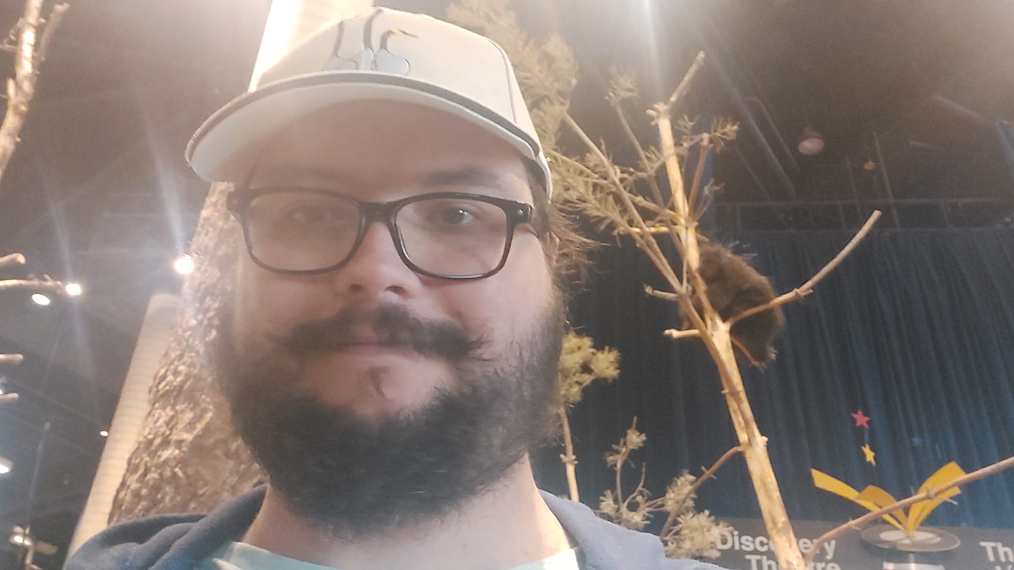 A man with a ball cap and bushy facial hair is standing in front of a tree with a porcupine in it, inside the science centre